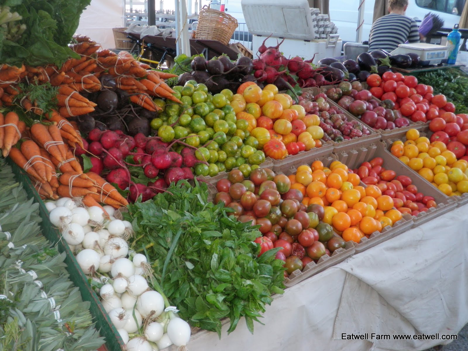 Solano Grown - Holiday Page